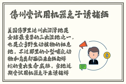 亚洲一卡二三卡4卡5